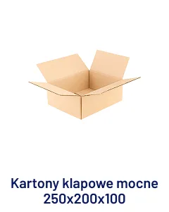 Kartony klapowe mocne 250x200x100